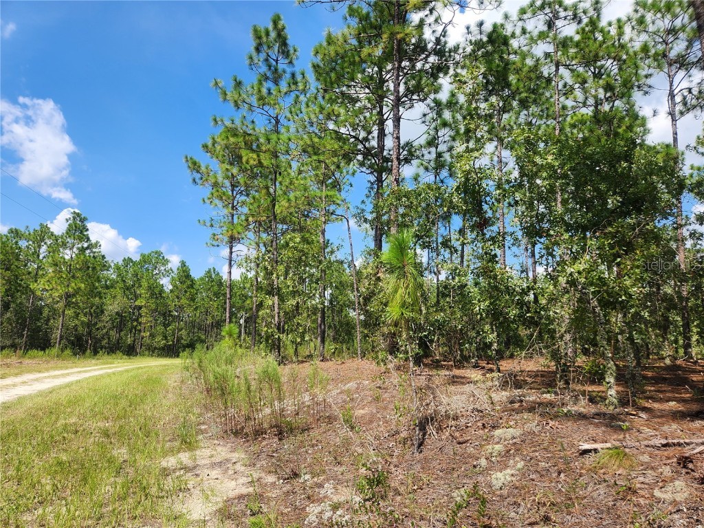 TBD SW 128th Terrace Road Ocala FL 34481 OM662033 image1