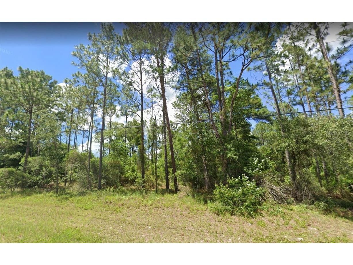 TBD SW 129 Place Ocala FL 34473 OM649230 image1