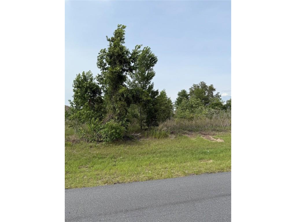TBD SW 129th Lane Ocala FL 34473 OM701232 image1