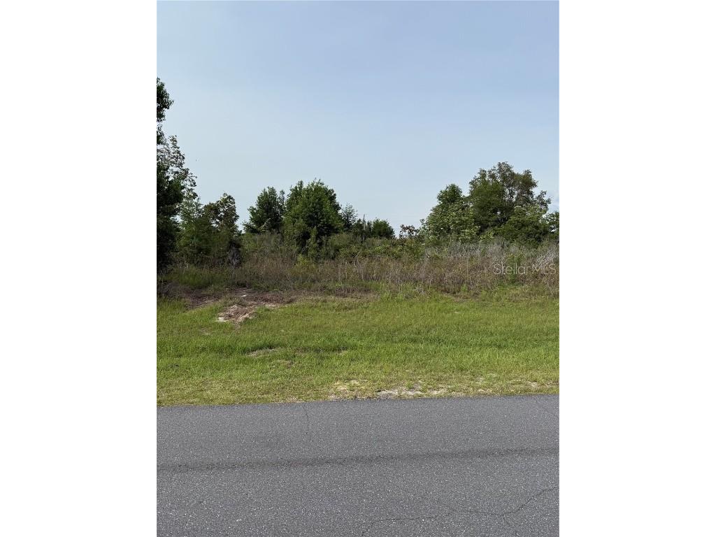 TBD SW 129th Lane Ocala FL 34473 OM701232 image3