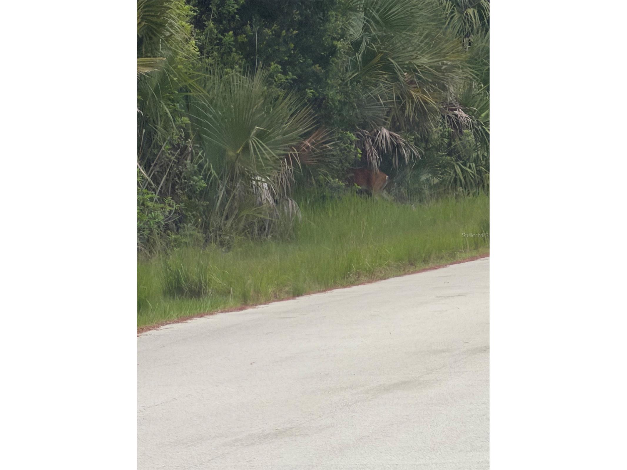 TBD SW 129th Loop Ocala FL 34473 O6418798 image1