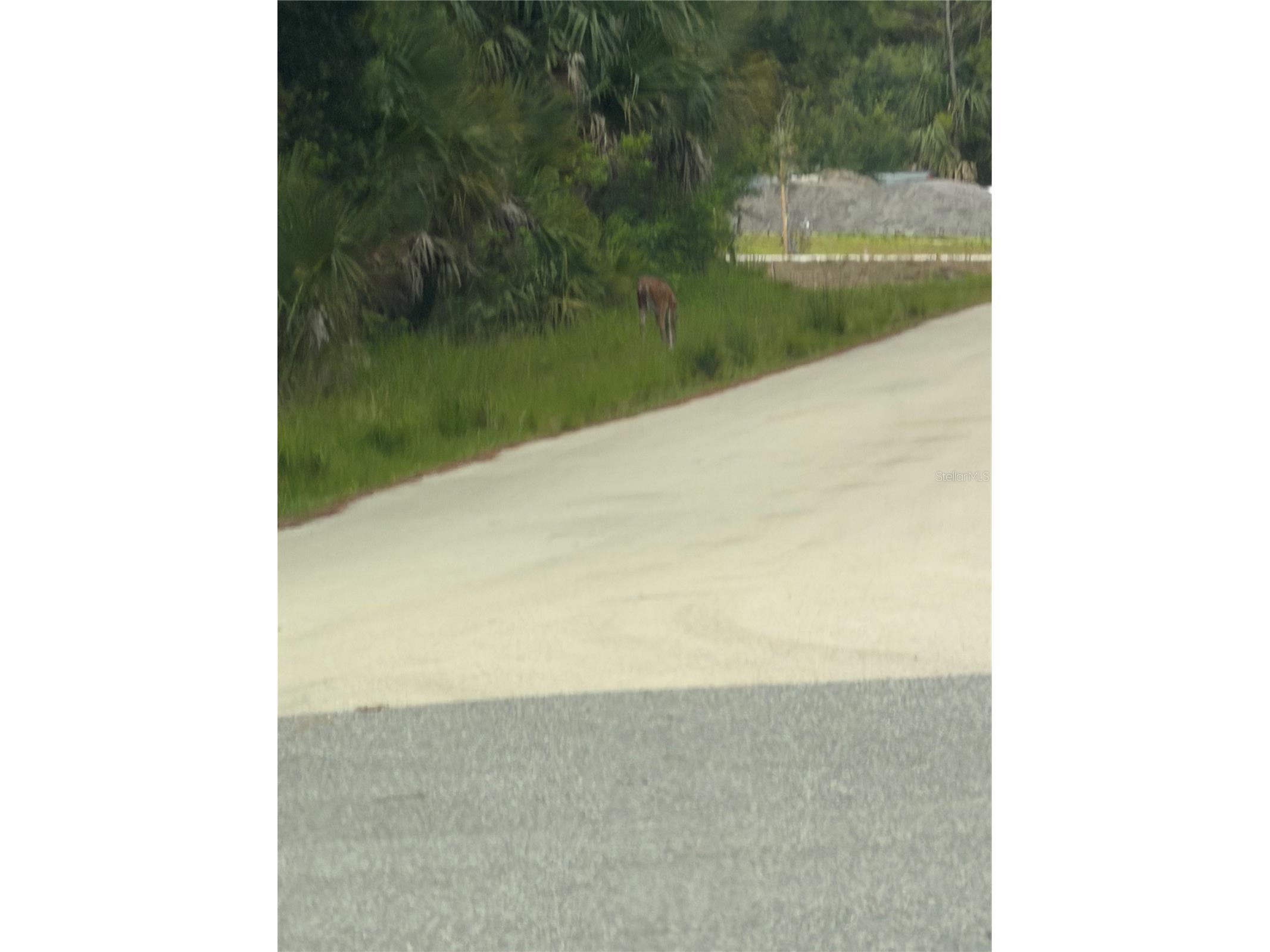 TBD SW 129th Loop Ocala FL 34473 O6418798 image3