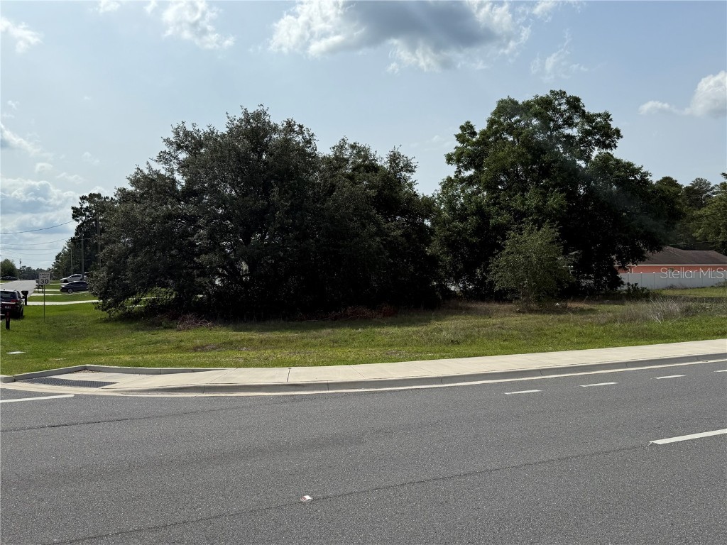 TBD Sw 129th Place Ocala FL 34473 OM701222 image2