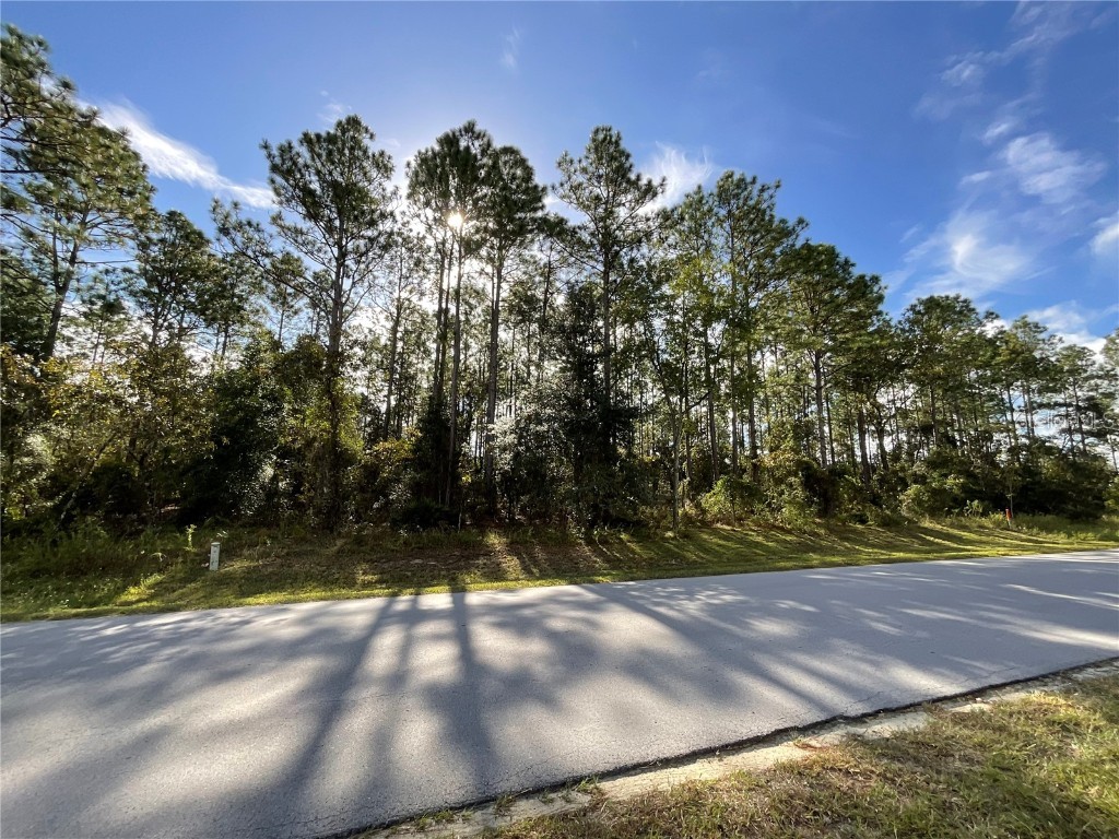 TBD SW 129th Terrace Road Ocala FL 34481 OM687032 image1