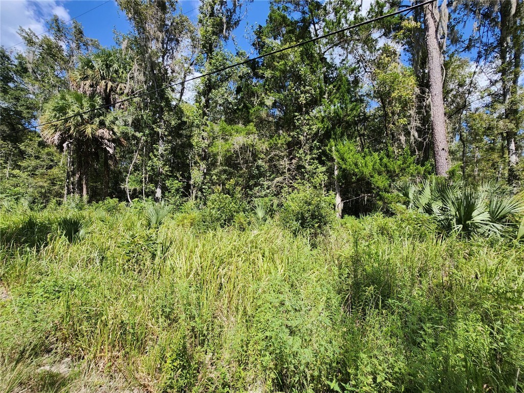 TBD SW 12th Street Road Ocala FL 34481 OM664182 image1