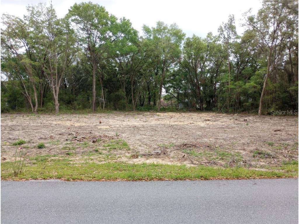TBD SW 130th Place Ocala FL 34473 OM698486 image1