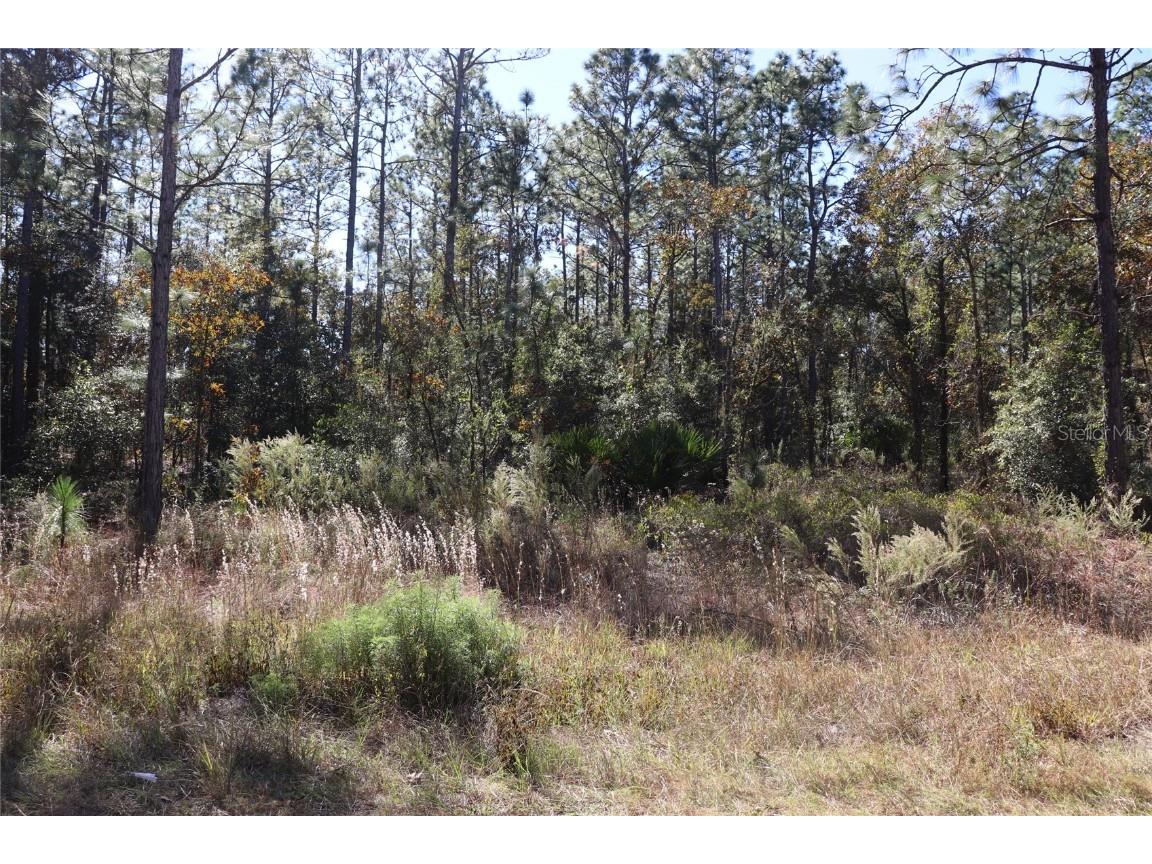 TBD SW 131st Circle Ocala FL 34481 A4671906 image1