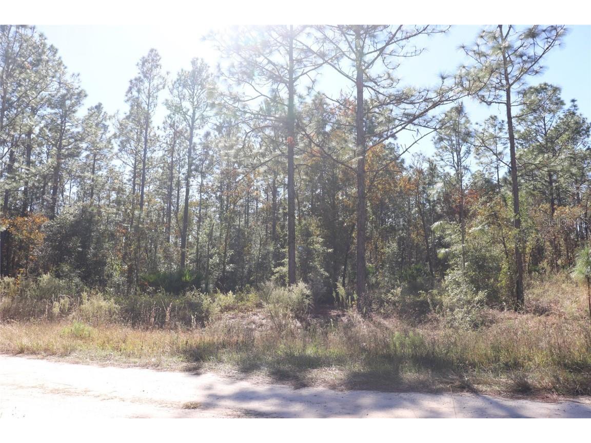 TBD SW 131st Circle Ocala FL 34481 A4671906 image10