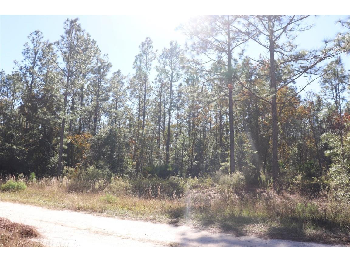 TBD SW 131st Circle Ocala FL 34481 A4671906 image11