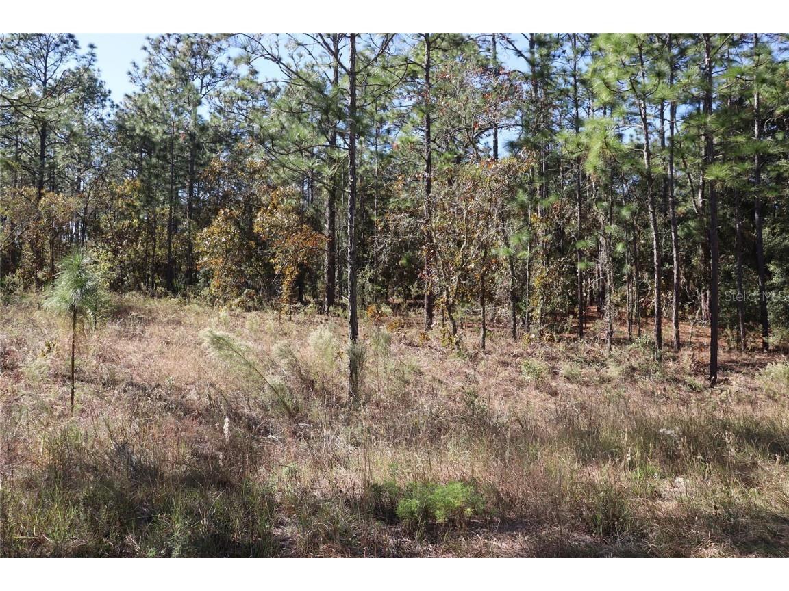 TBD SW 131st Circle Ocala FL 34481 A4671906 image12