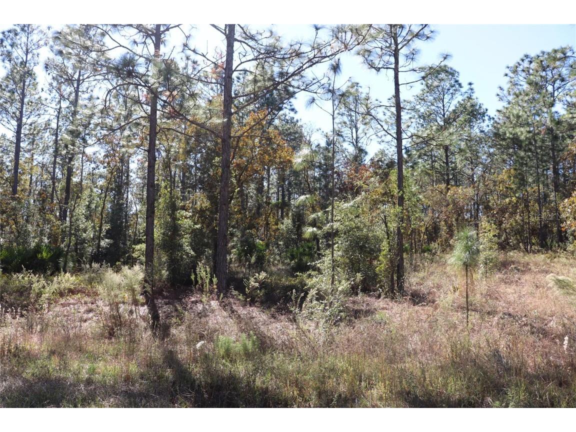 TBD SW 131st Circle Ocala FL 34481 A4671906 image2