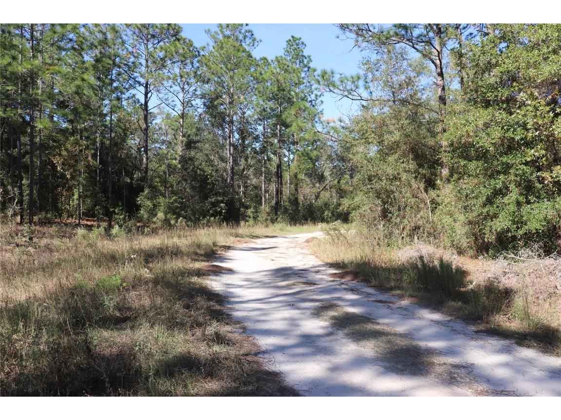 TBD SW 131st Circle Ocala FL 34481 A4671906 image3