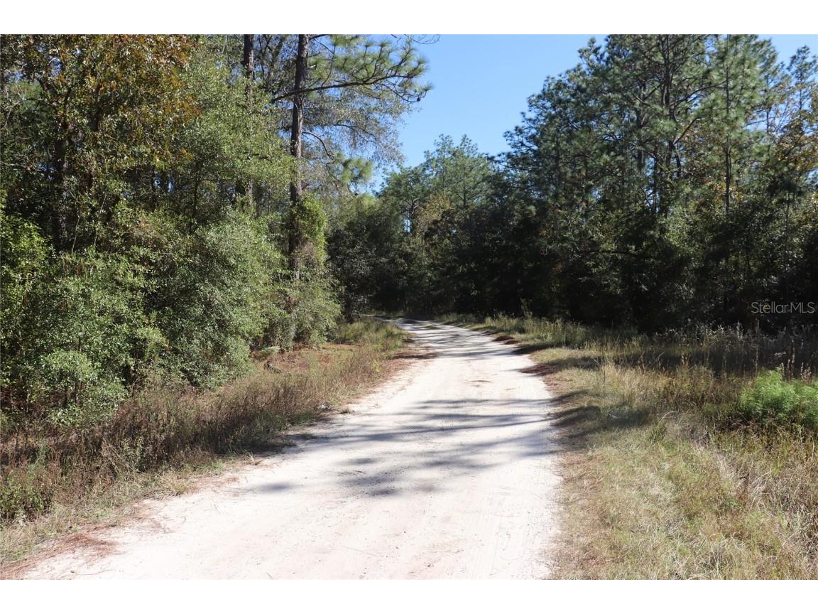 TBD SW 131st Circle Ocala FL 34481 A4671906 image4