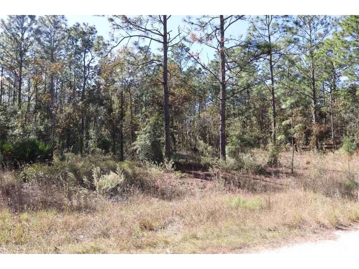 TBD SW 131st Circle Ocala FL 34481 A4671906 image5