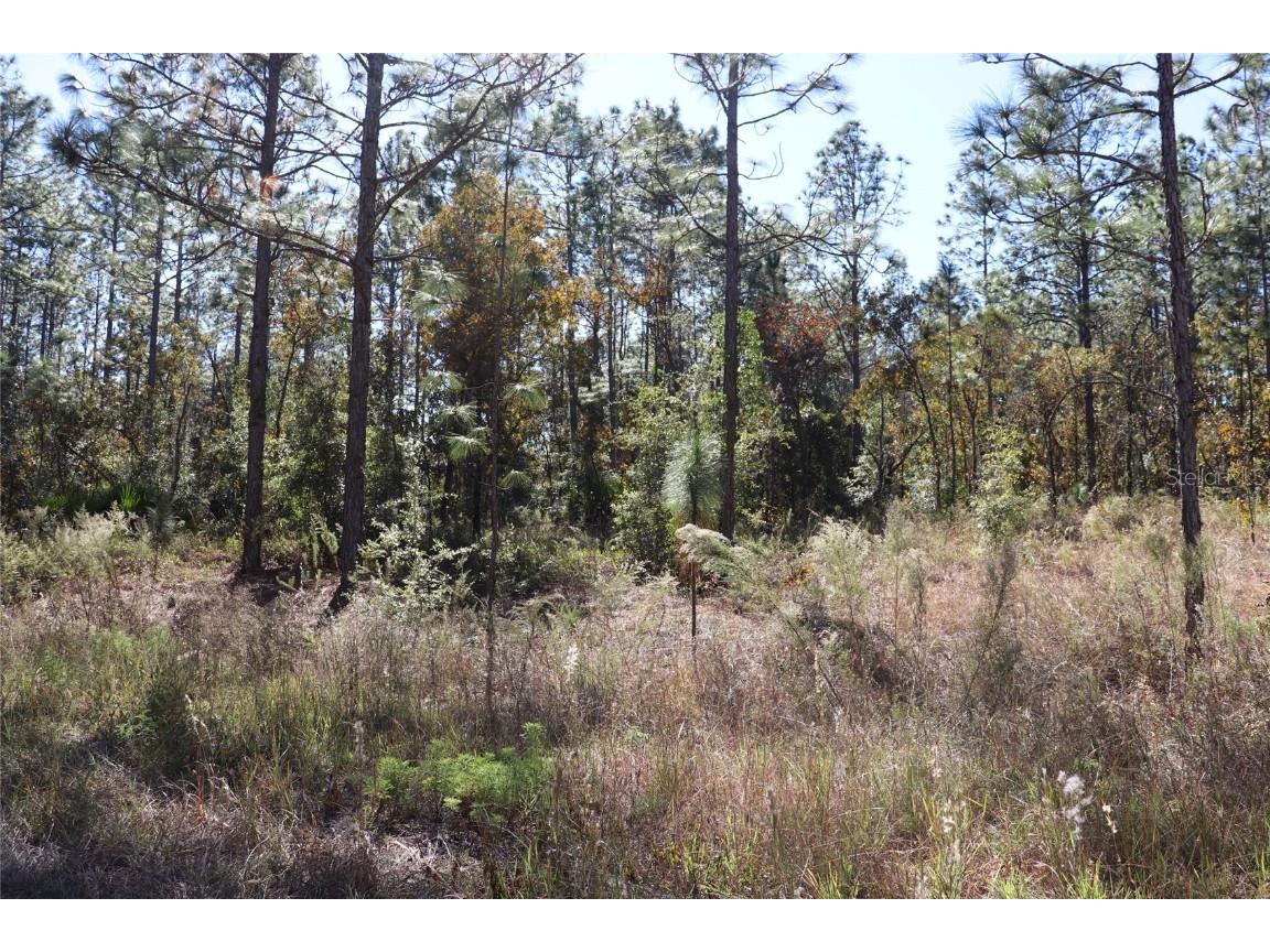 TBD SW 131st Circle Ocala FL 34481 A4671906 image7
