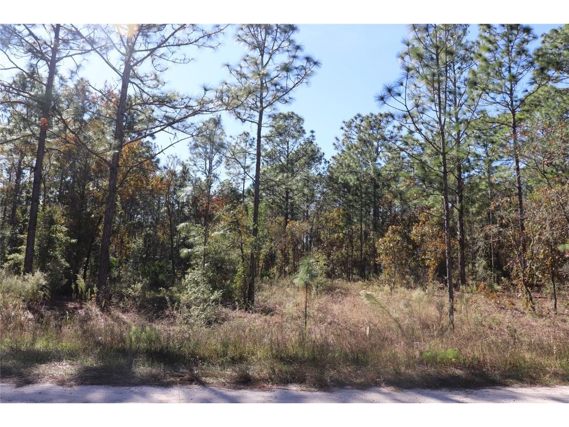 TBD SW 131st Circle Ocala FL 34481 A4671906 image9