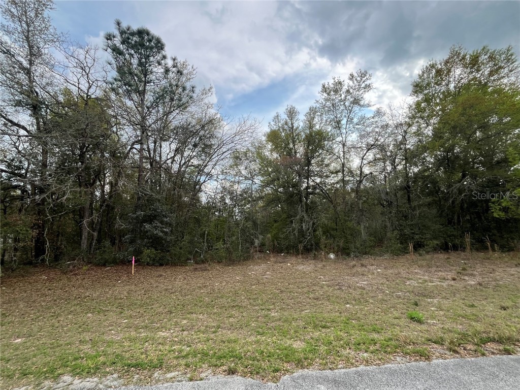 TBD SW 133rd Lane Road Dunnellon FL 34432 OK223789 image1