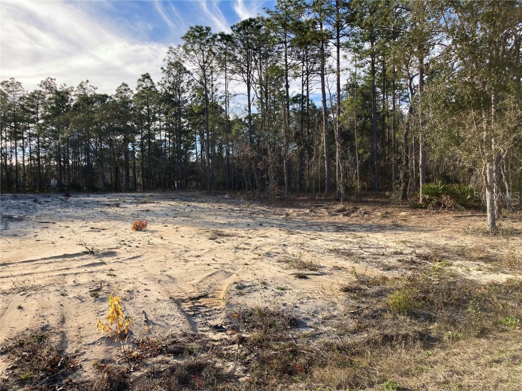 TBD SW 134th Avenue Dunnellon FL 34432 OM634181 image1