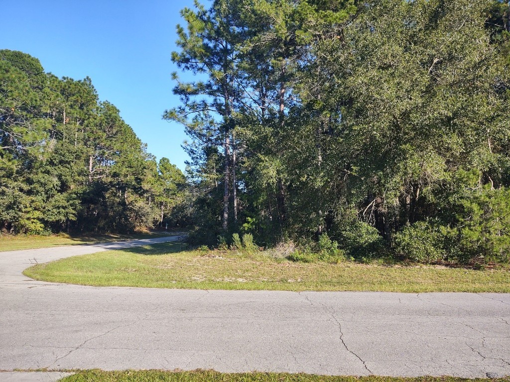 TBD SW 135th Loop Ocala FL 34473 OM666454 image1