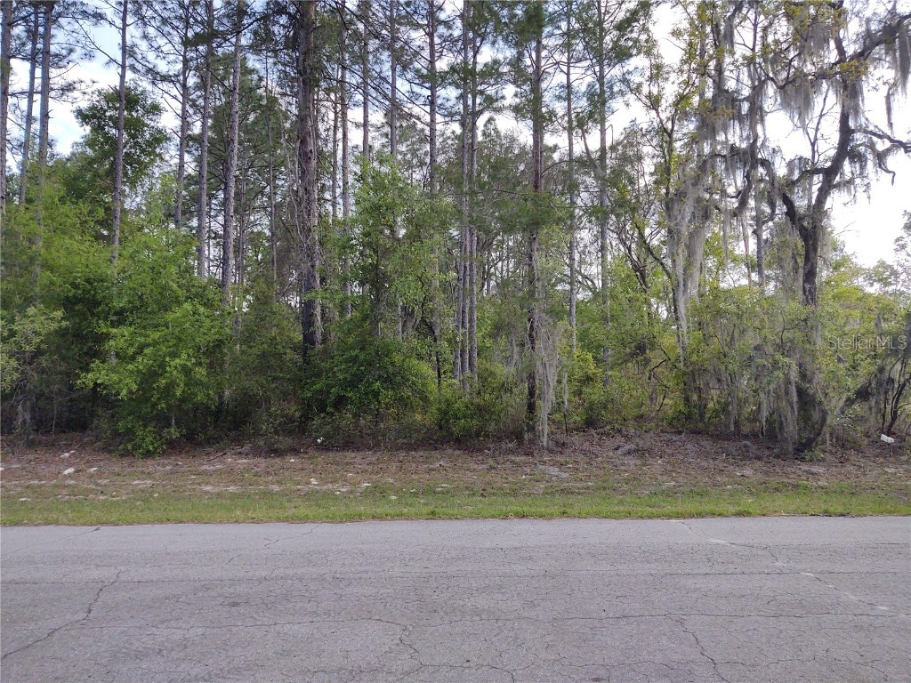 TBD SW 135th Loop Ocala FL 34473 OM675540 image1