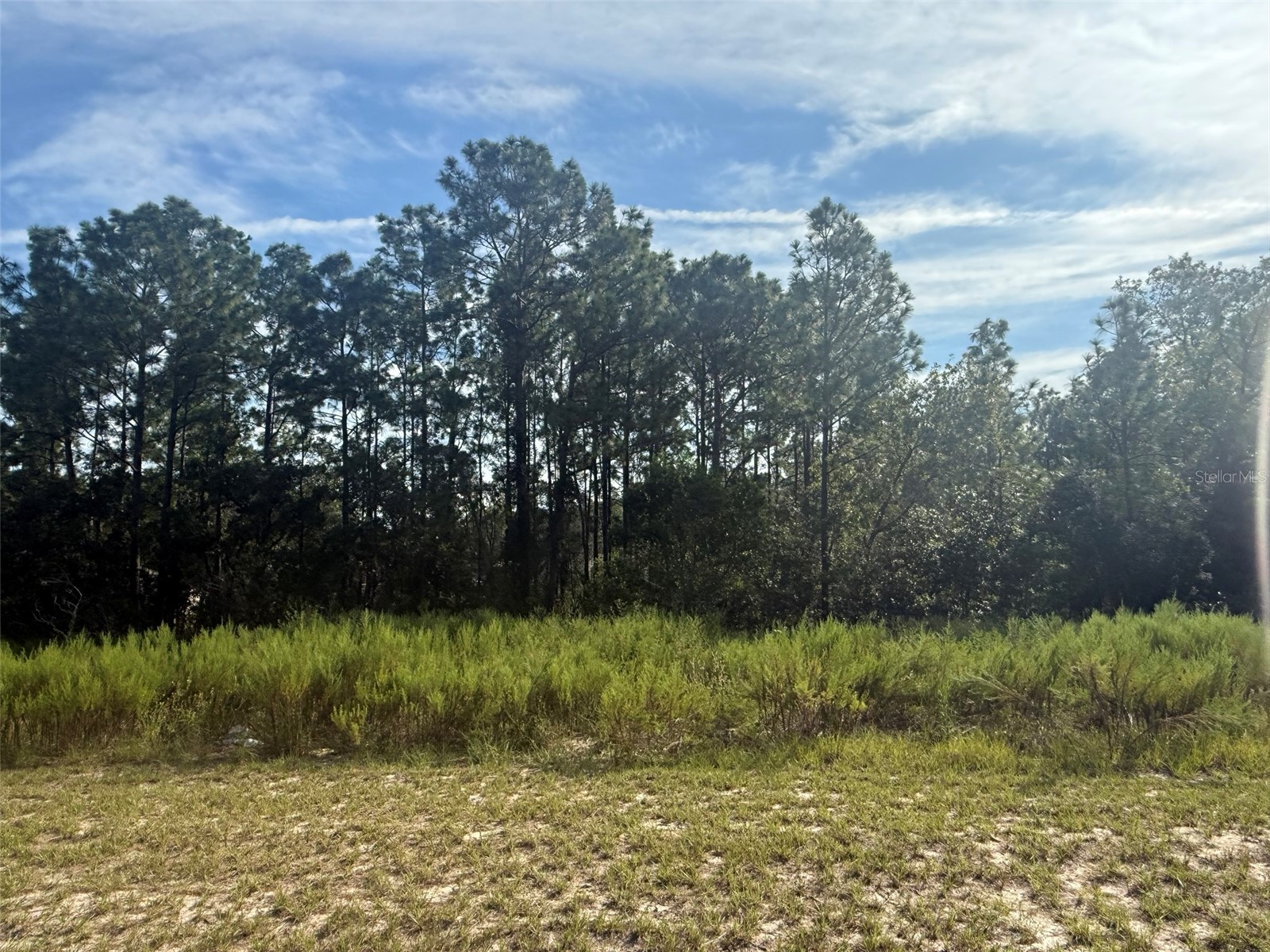 TBD SW 135th Street Road Ocala FL 34473 K4903344 image1