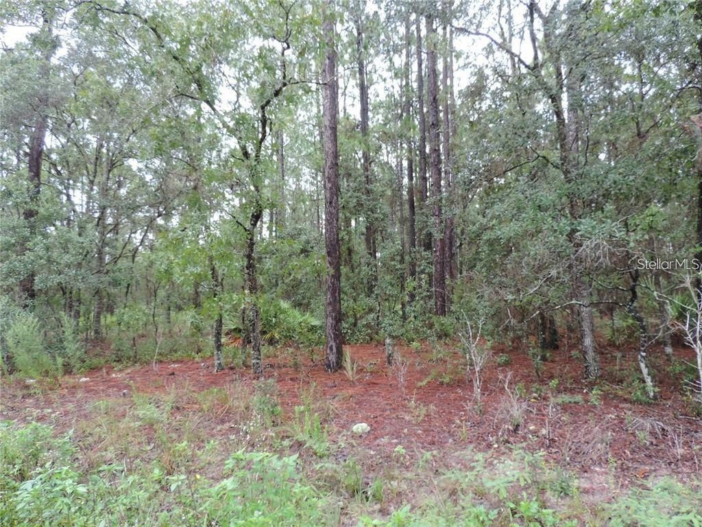 TBD SW 135th Terrace Road Dunnellon FL 34432 OM708372 image1