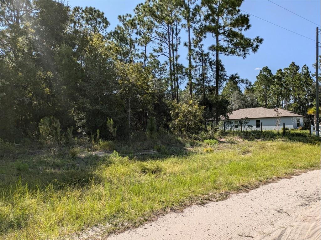 TBD SW 136th Avenue Ocala FL 34481 OM684760 image1
