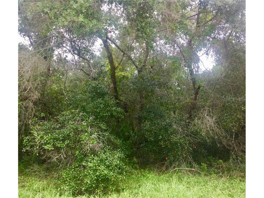 TBD SW 137 Loop Ocala FL 34473 G5073633 image1