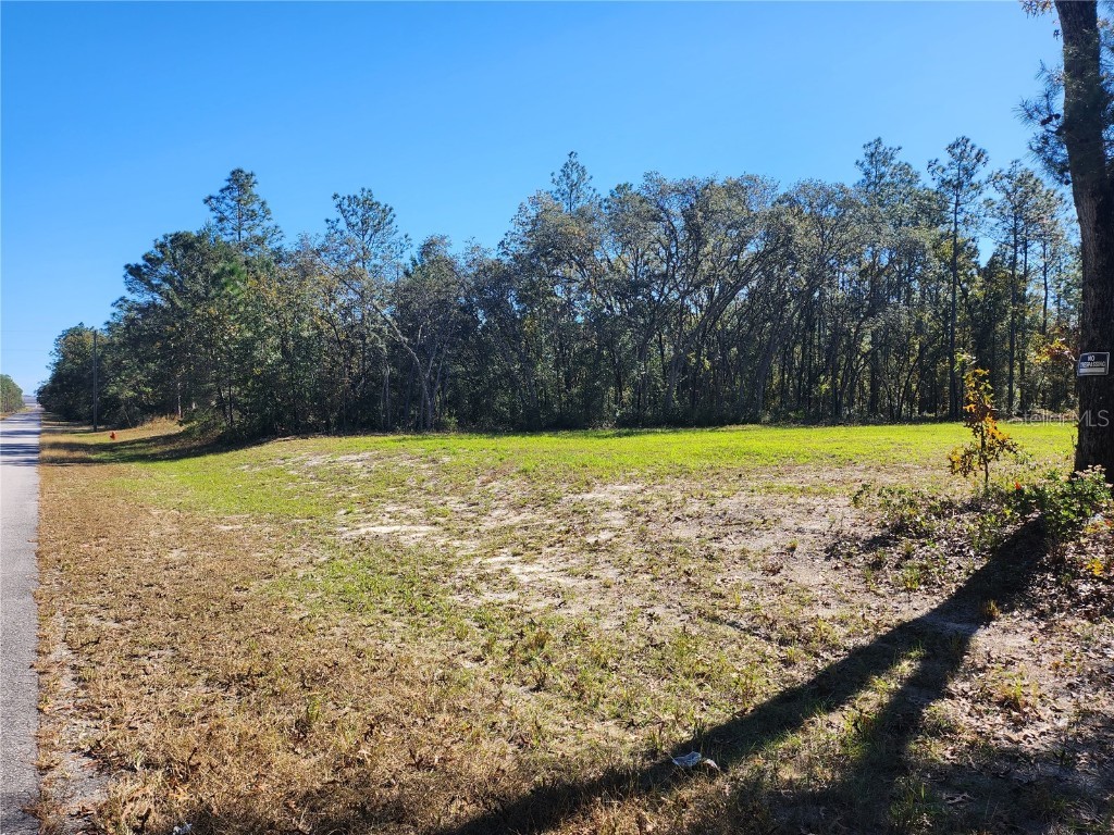 TBD SW 137 Street Ocala FL 34473 OM703477 image1