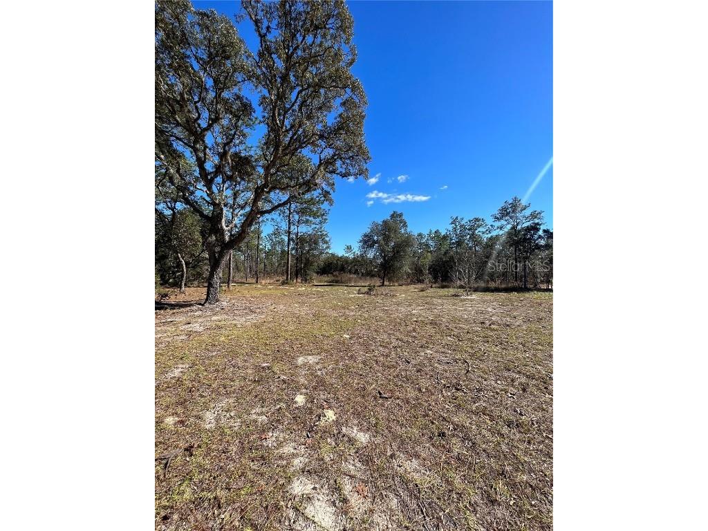 TBD SW 137th Court Dunnellon FL 34432 OM671737 image1