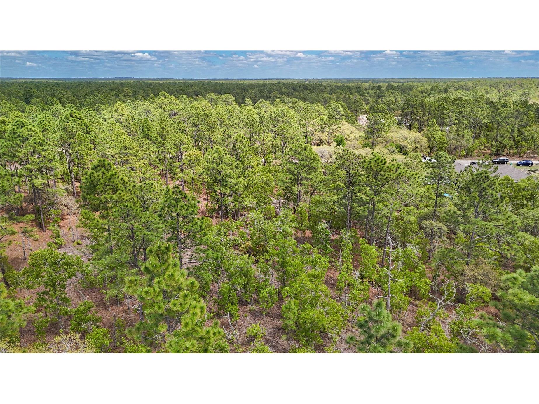 TBD SW 137th Court Road Dunnellon FL 34432 OM721709 image11