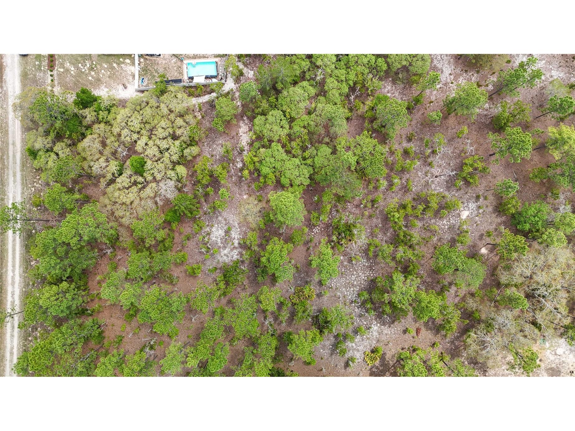 TBD SW 137th Court Road Dunnellon FL 34432 OM721709 image12
