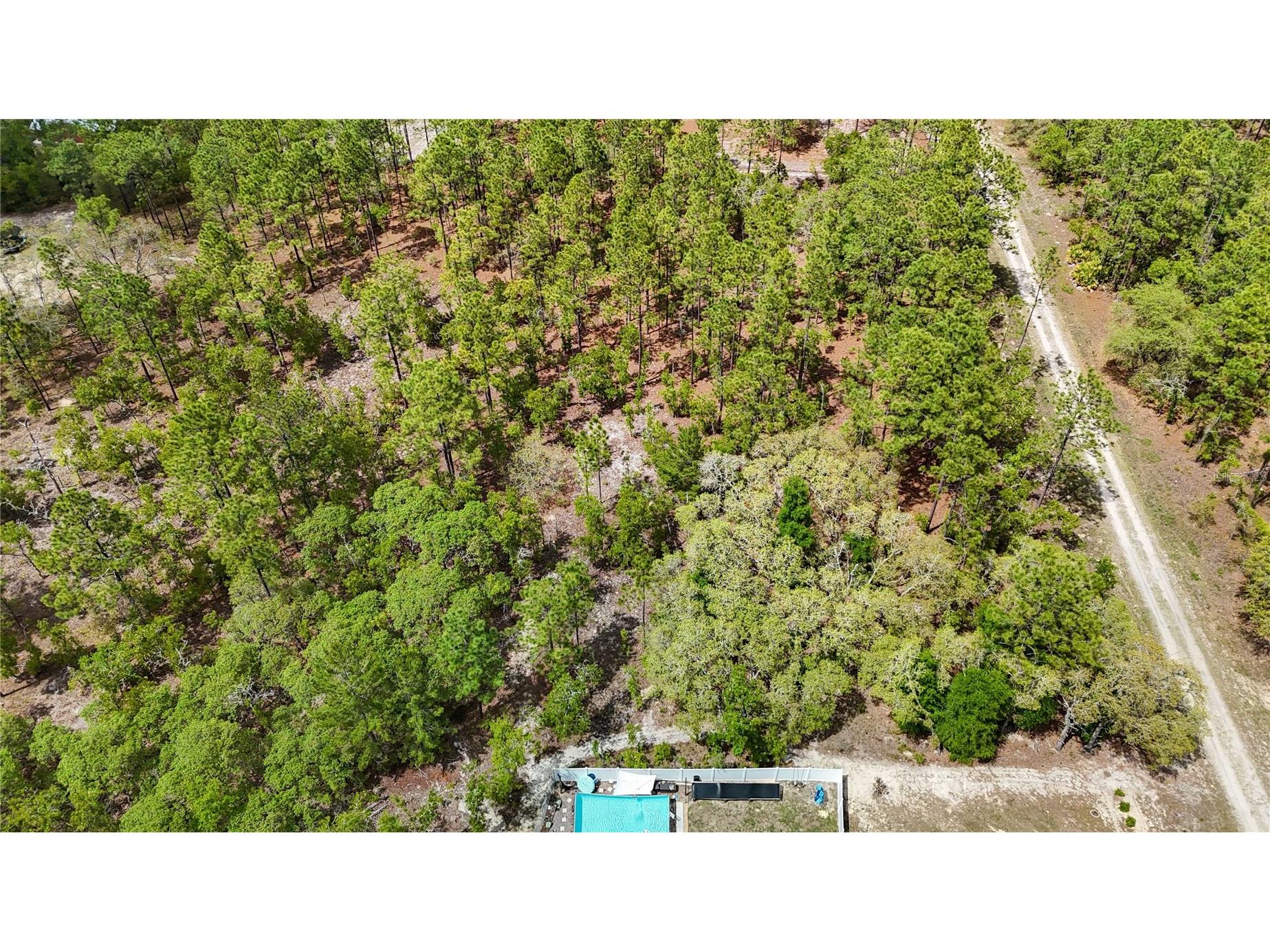 TBD SW 137th Court Road Dunnellon FL 34432 OM721709 image14