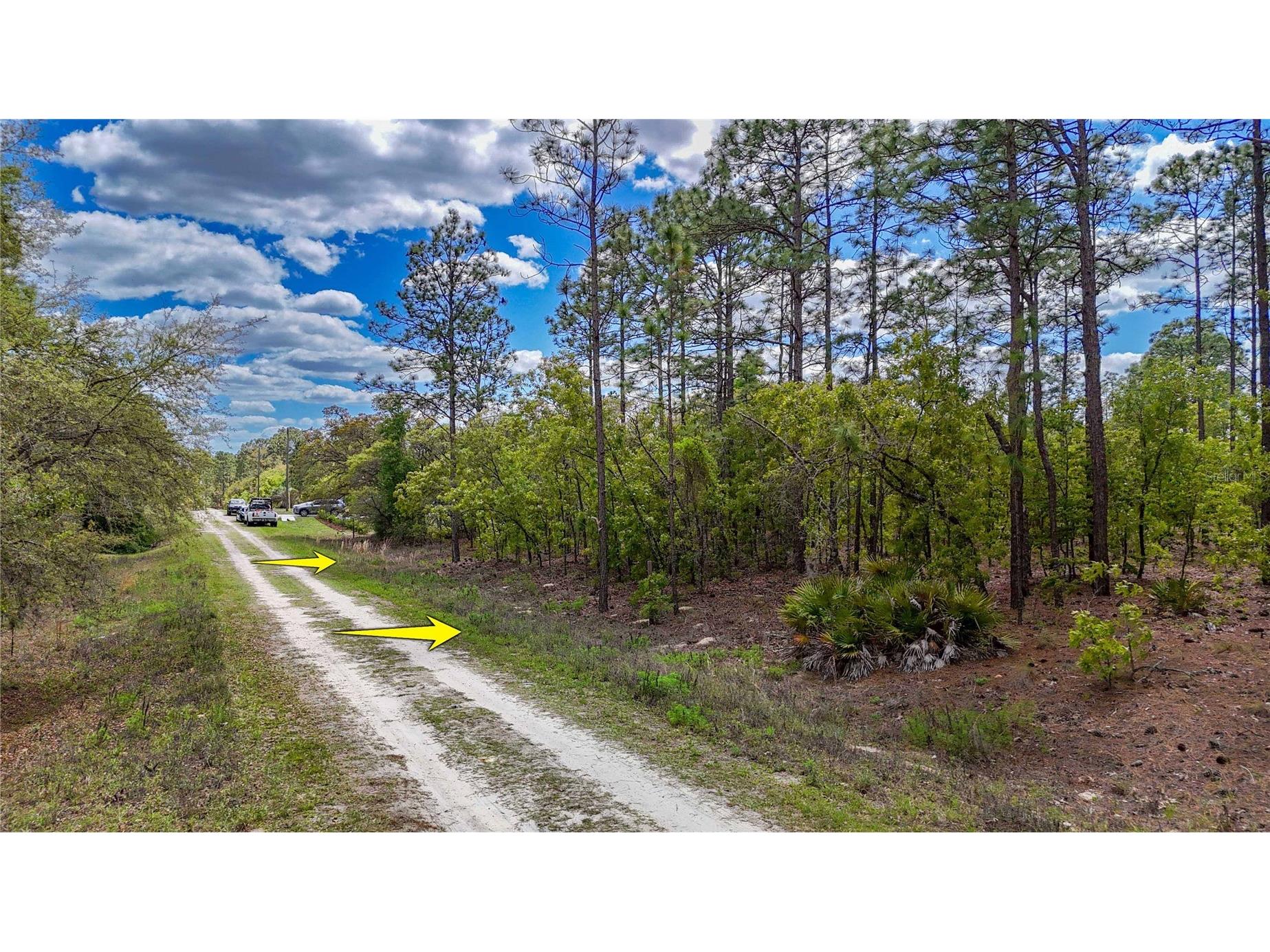 TBD SW 137th Court Road Dunnellon FL 34432 OM721709 image15