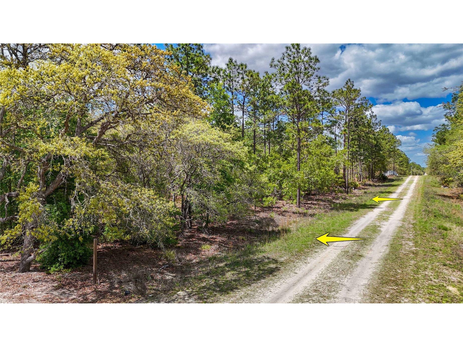 TBD SW 137th Court Road Dunnellon FL 34432 OM721709 image2