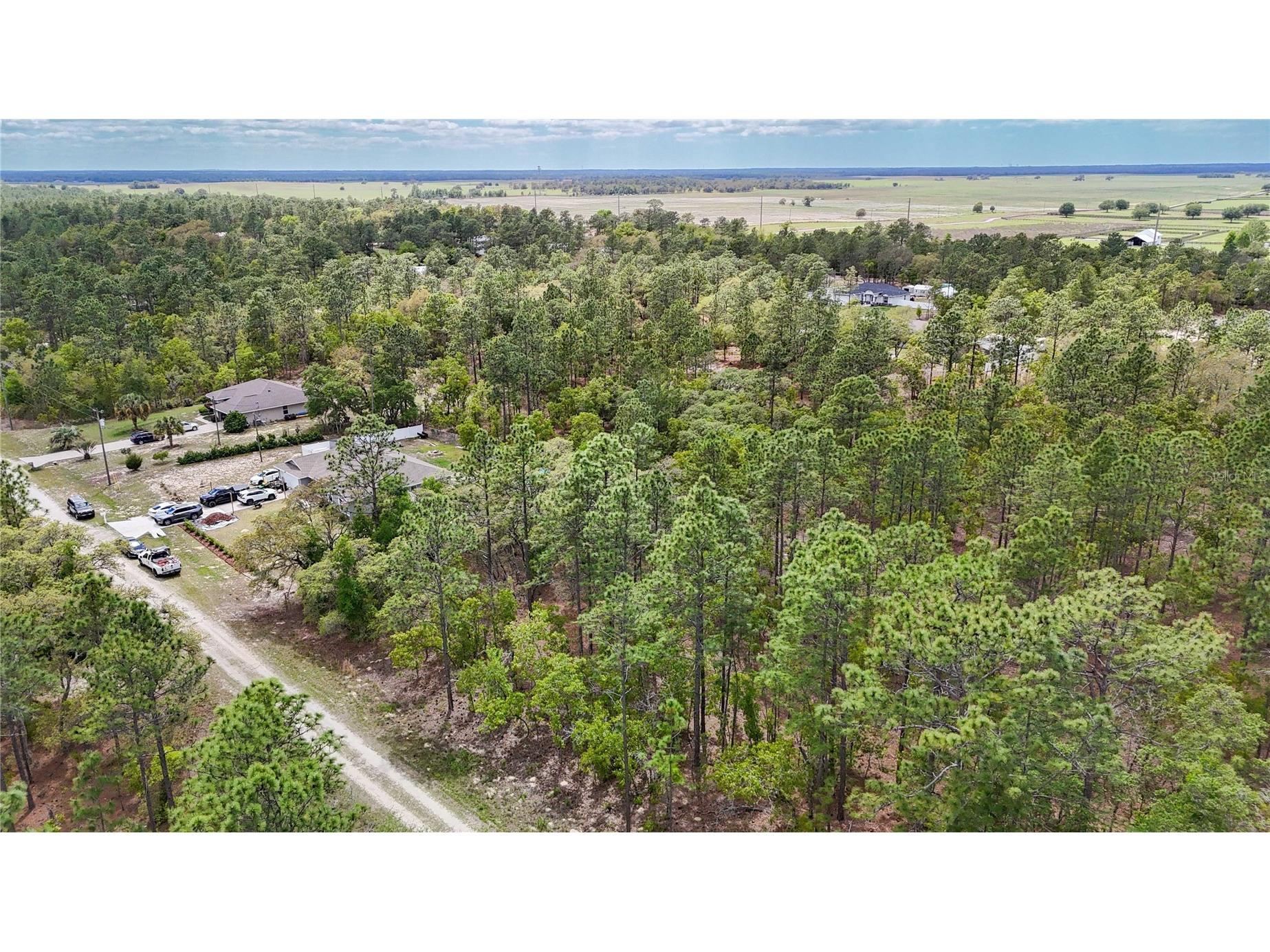 TBD SW 137th Court Road Dunnellon FL 34432 OM721709 image7