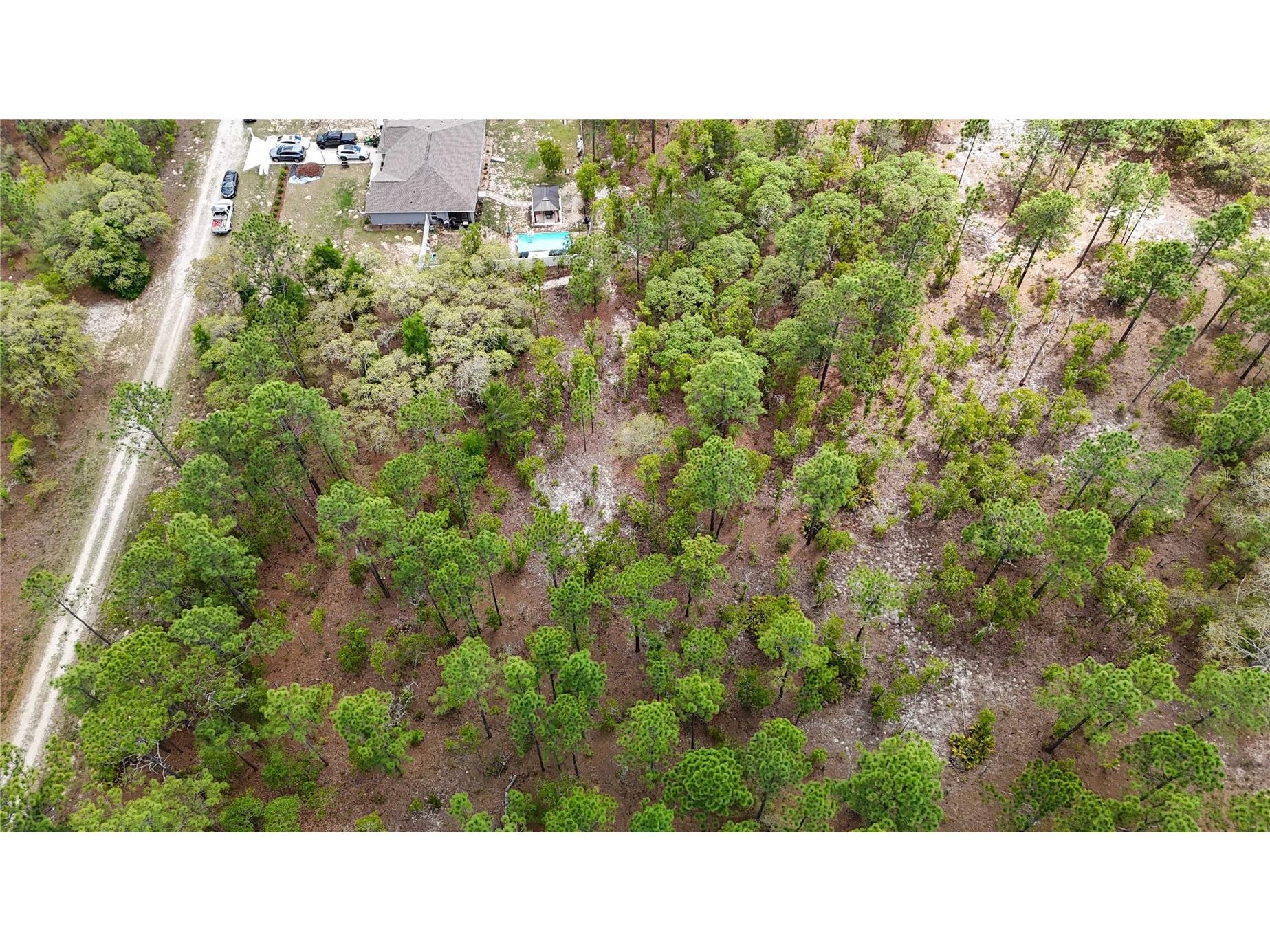 TBD SW 137th Court Road Dunnellon FL 34432 OM721709 image9