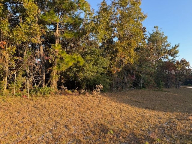 TBD SW 138th Lane Ocala FL 34473 OM713800 image4