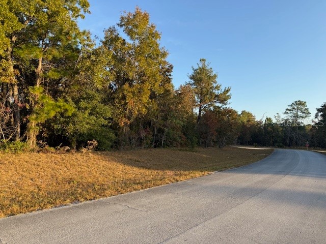 TBD SW 138th Lane Ocala FL 34473 OM713800 image5