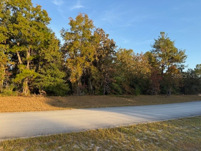 TBD SW 138th Lane Ocala FL 34473 OM713800 image6