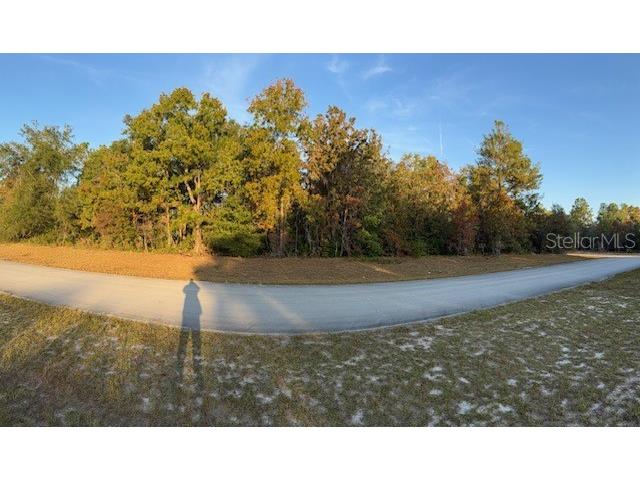 TBD SW 138th Lane Ocala FL 34473 OM713800 image7