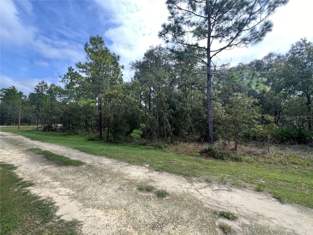 TBD SW 138th Terrace Dunnellon FL 34432 OM685499 image1