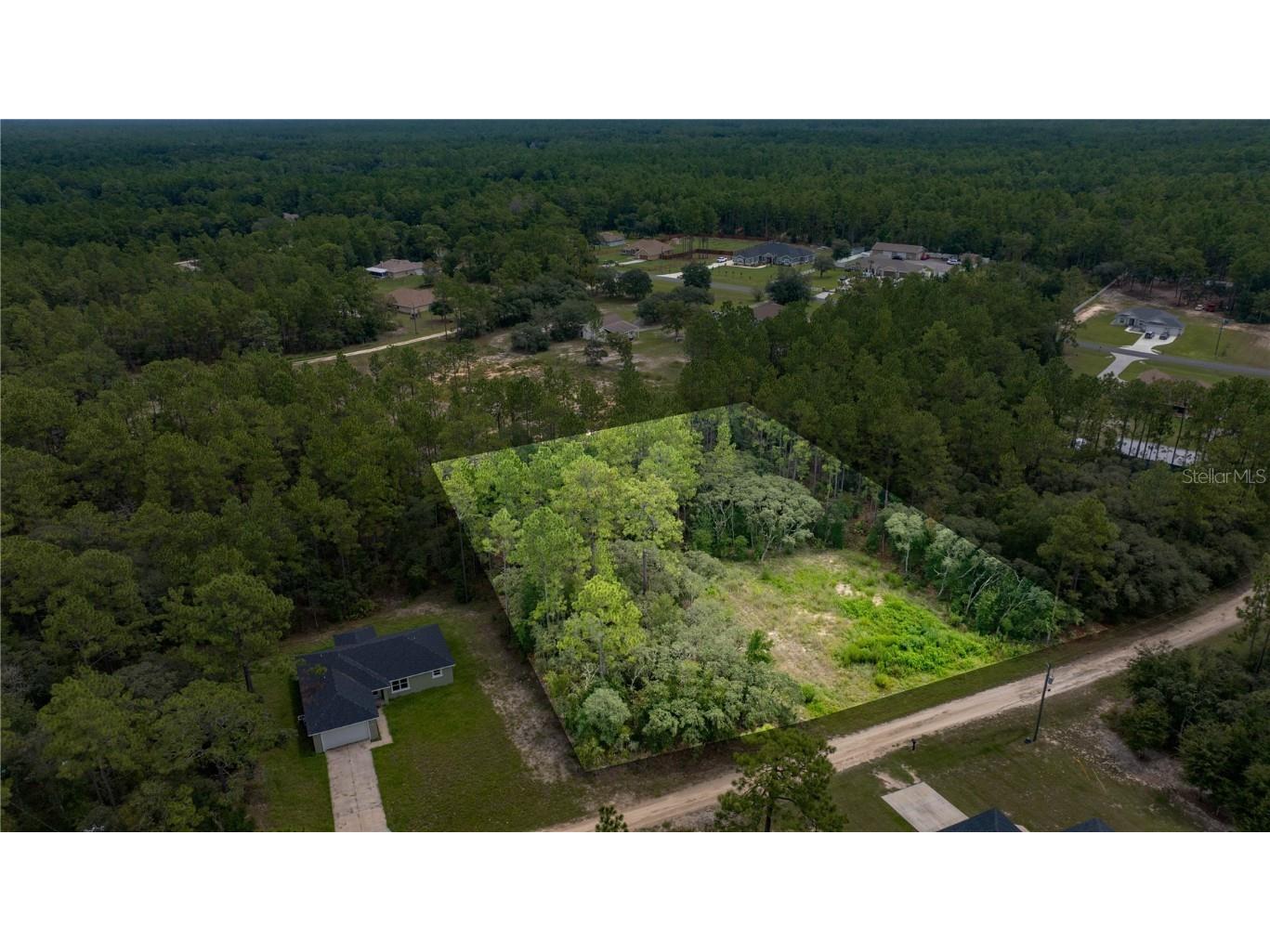 TBD SW 138th Terrace Ocala FL 34481 OM709176 image1