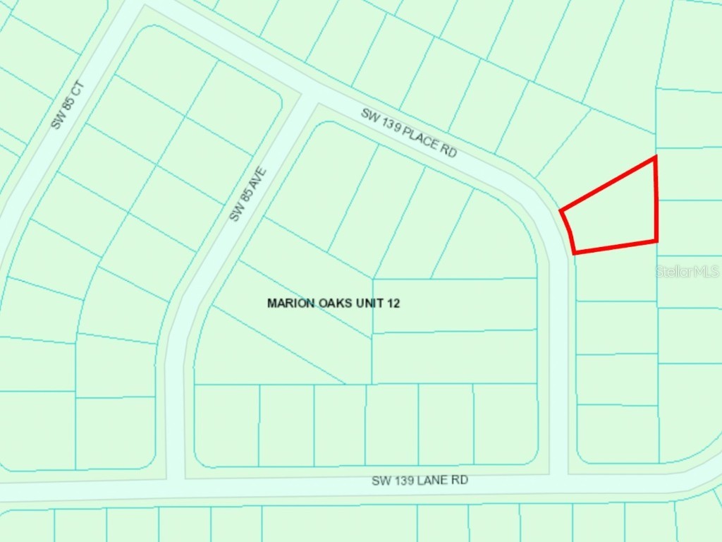 TBD SW 139th Pl Road Ocala FL 34473 OM666335 image1