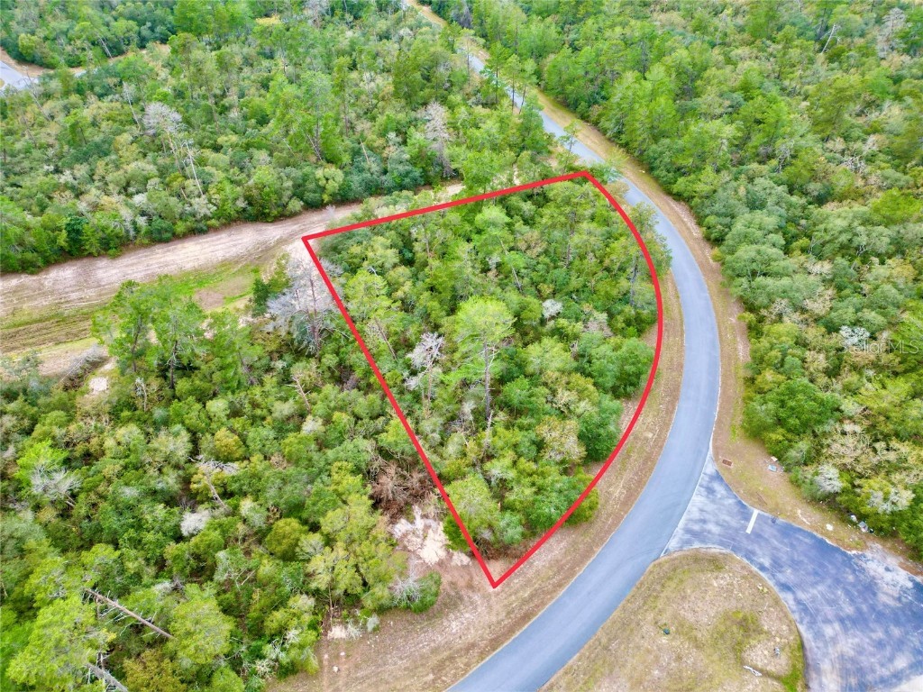 TBD Sw 142 Ocala FL 34473 OM670244 image1