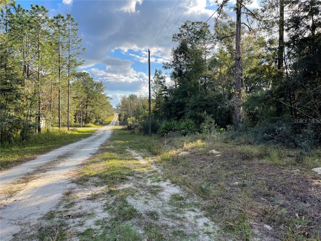 TBD SW 142nd Court Ocala FL 34481 V4927860 image1