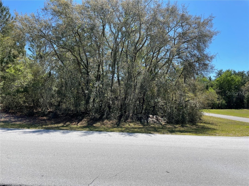 TBD SW 143rd Place Road Ocala FL 34473 O6099692 image1