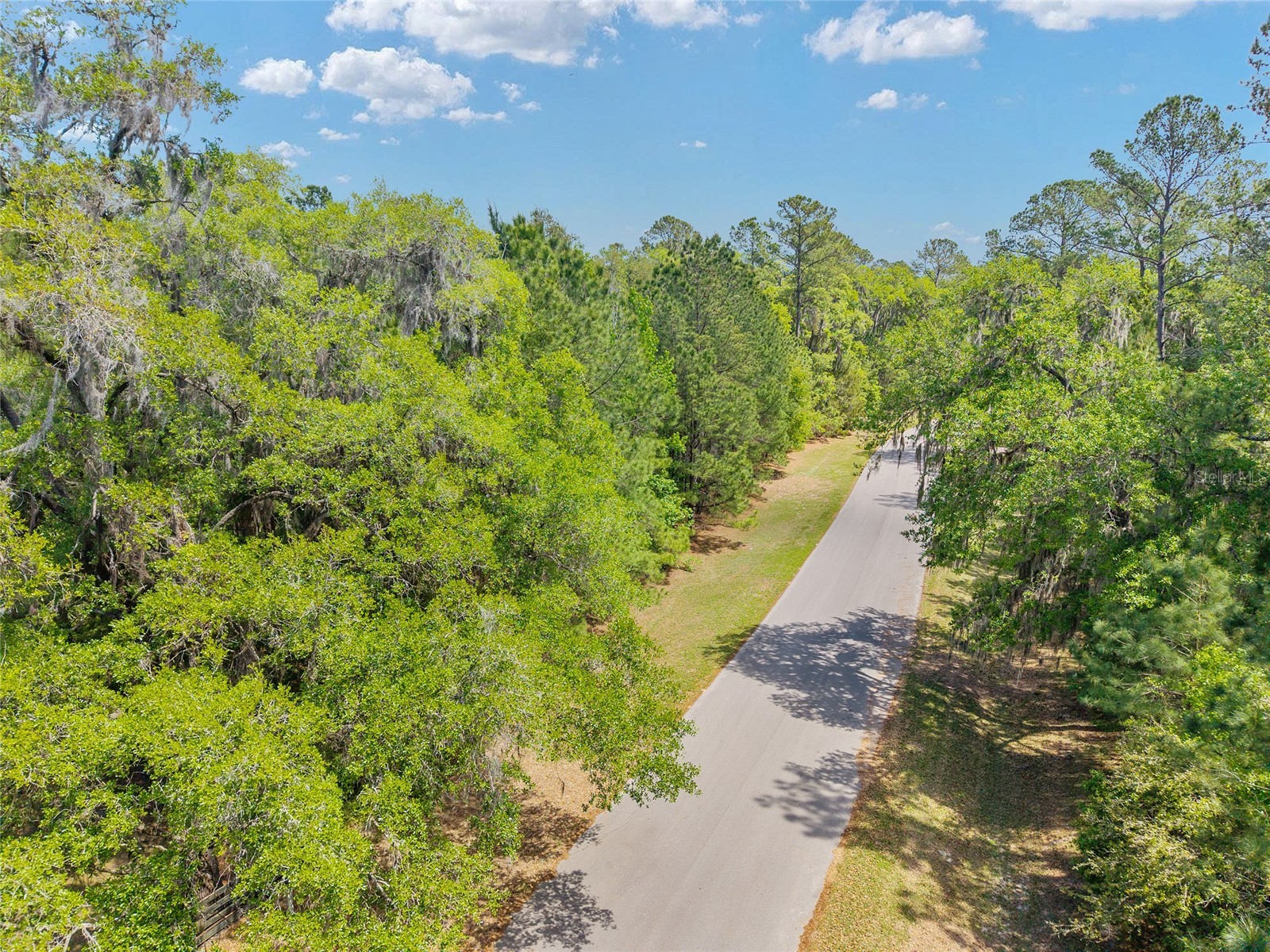 TBD SW 144 Court Road Ocala FL 34482 OM721933 image10