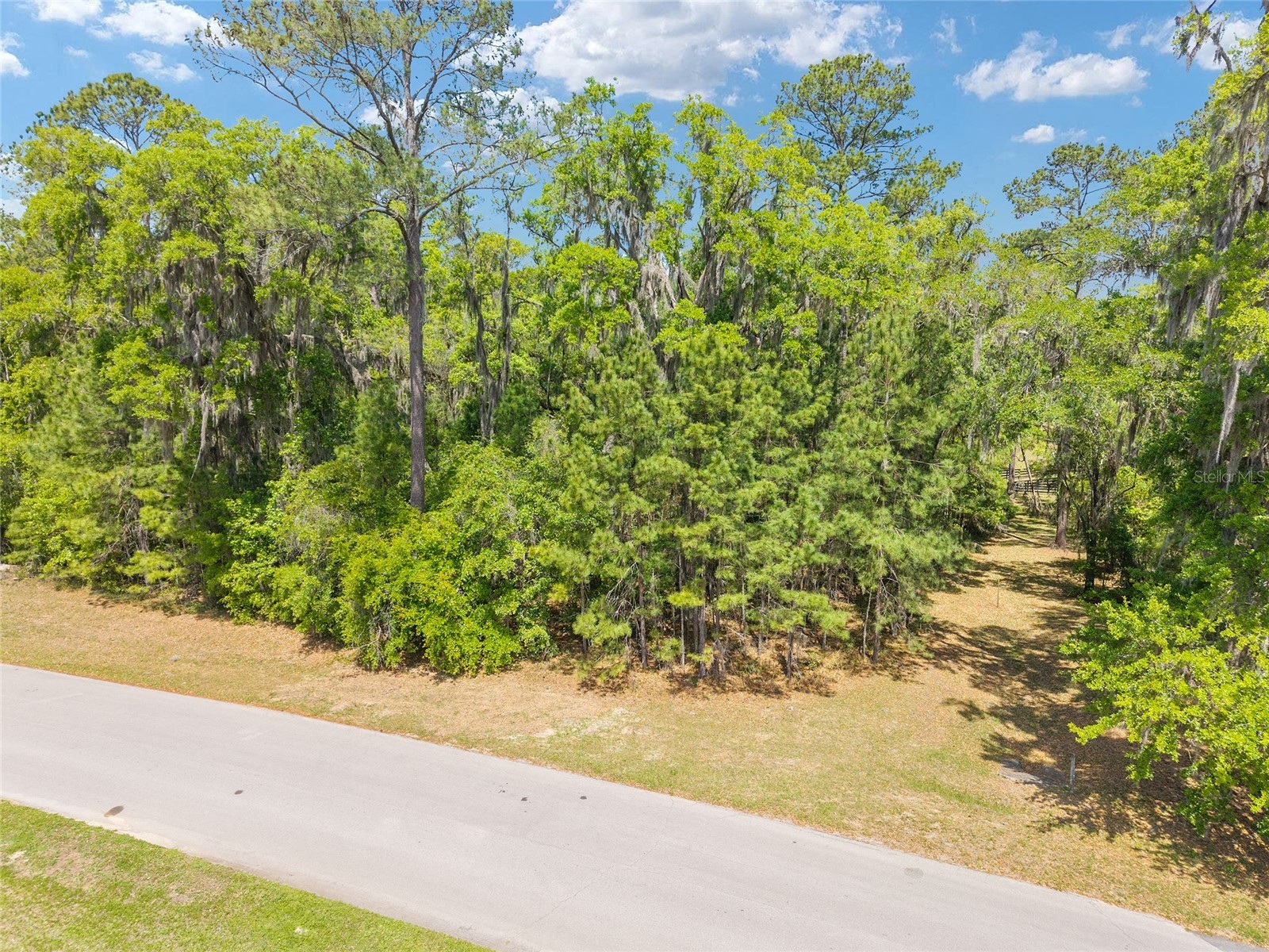 TBD SW 144 Court Road Ocala FL 34482 OM721933 image12