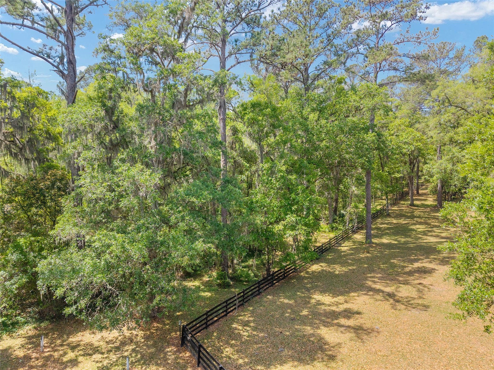 TBD SW 144 Court Road Ocala FL 34482 OM721933 image18